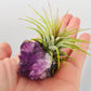 Crystal Air Plants l Air Plant Holder l Crystal Gift: Blue Calcite