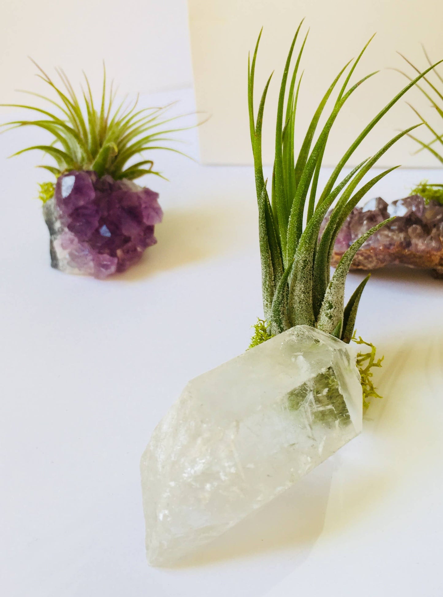 Crystal Air Plants l Air Plant Holder l Crystal Gift: Druzy Amethyst