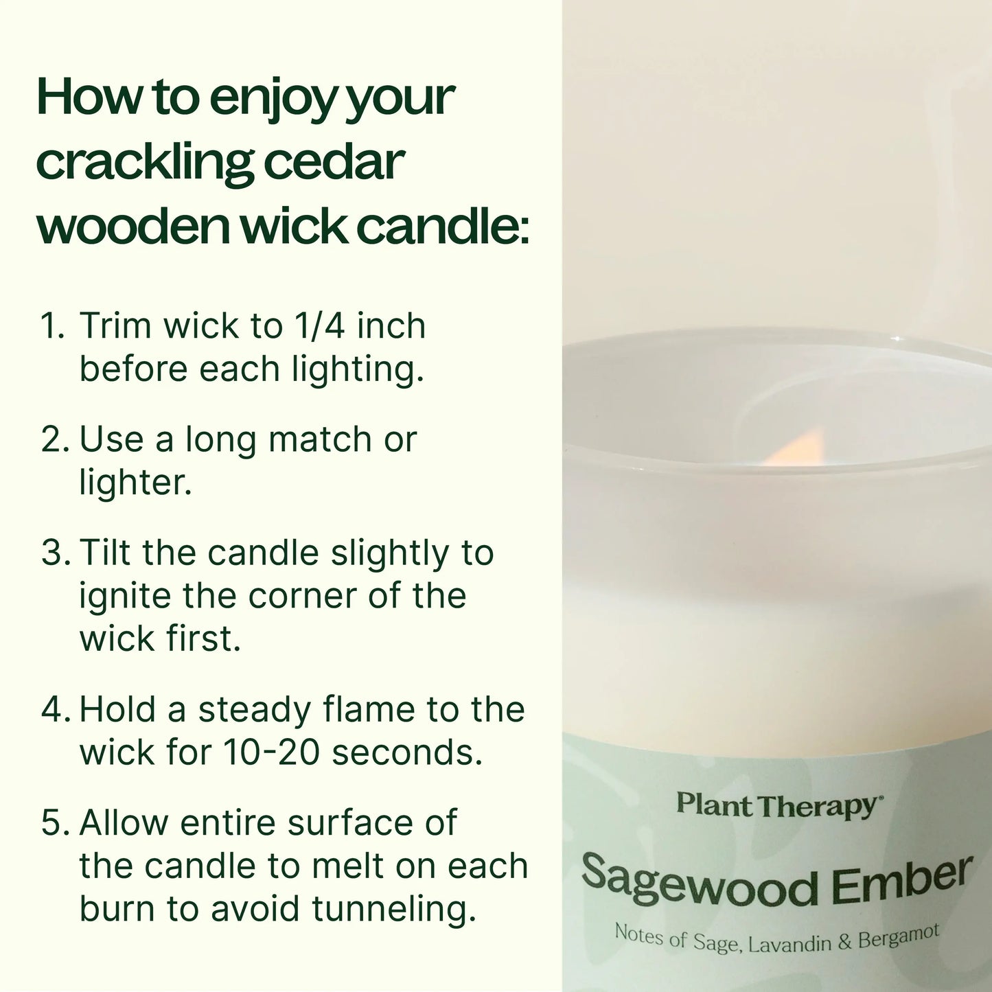 Sagewood Ember Naturally Scented Candle 8 oz