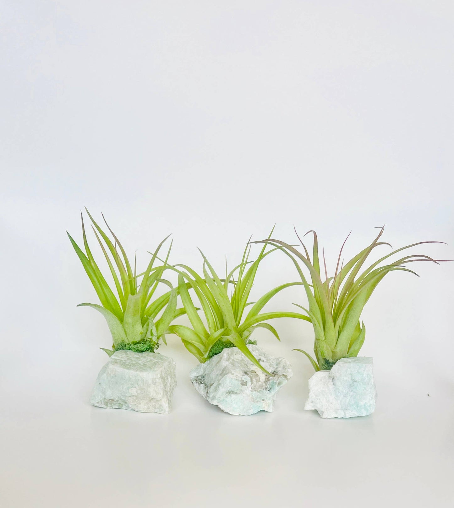 Crystal Air Plants l Air Plant Holder l Crystal Gift: Druzy Amethyst