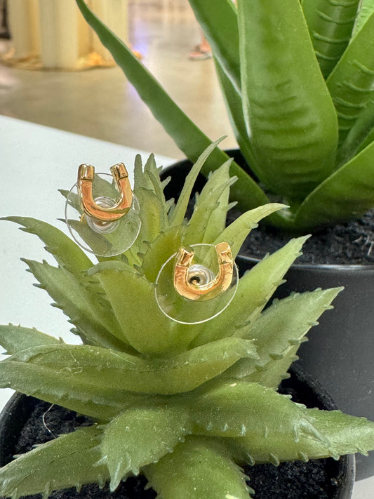 Lucky You Horseshoe Earrings