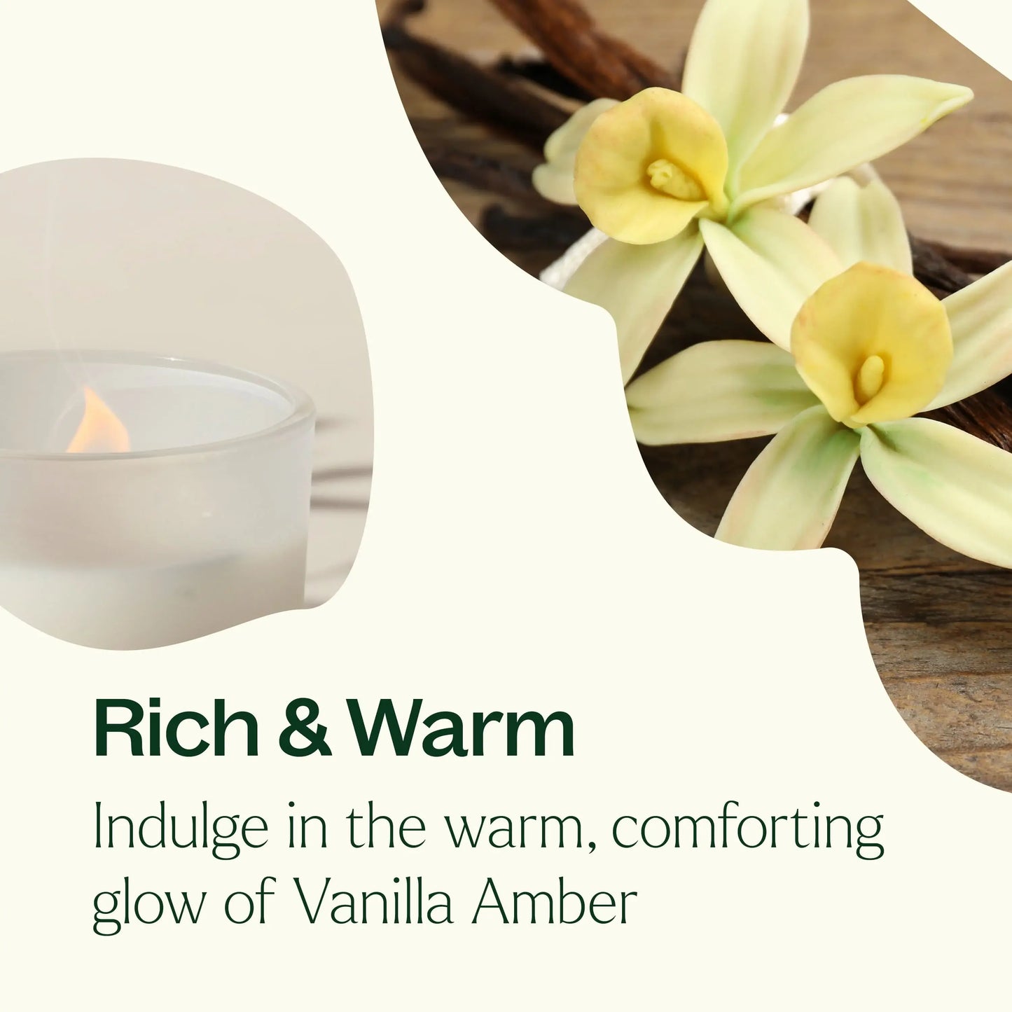 Vanilla Amber Naturally Scented Candle 8 oz