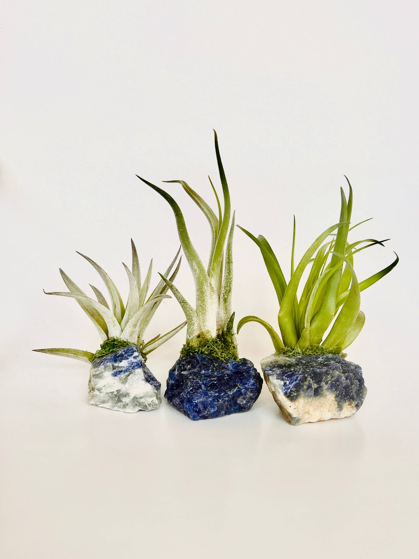 Crystal Air Plants l Air Plant Holder l Crystal Gift: Blue Calcite