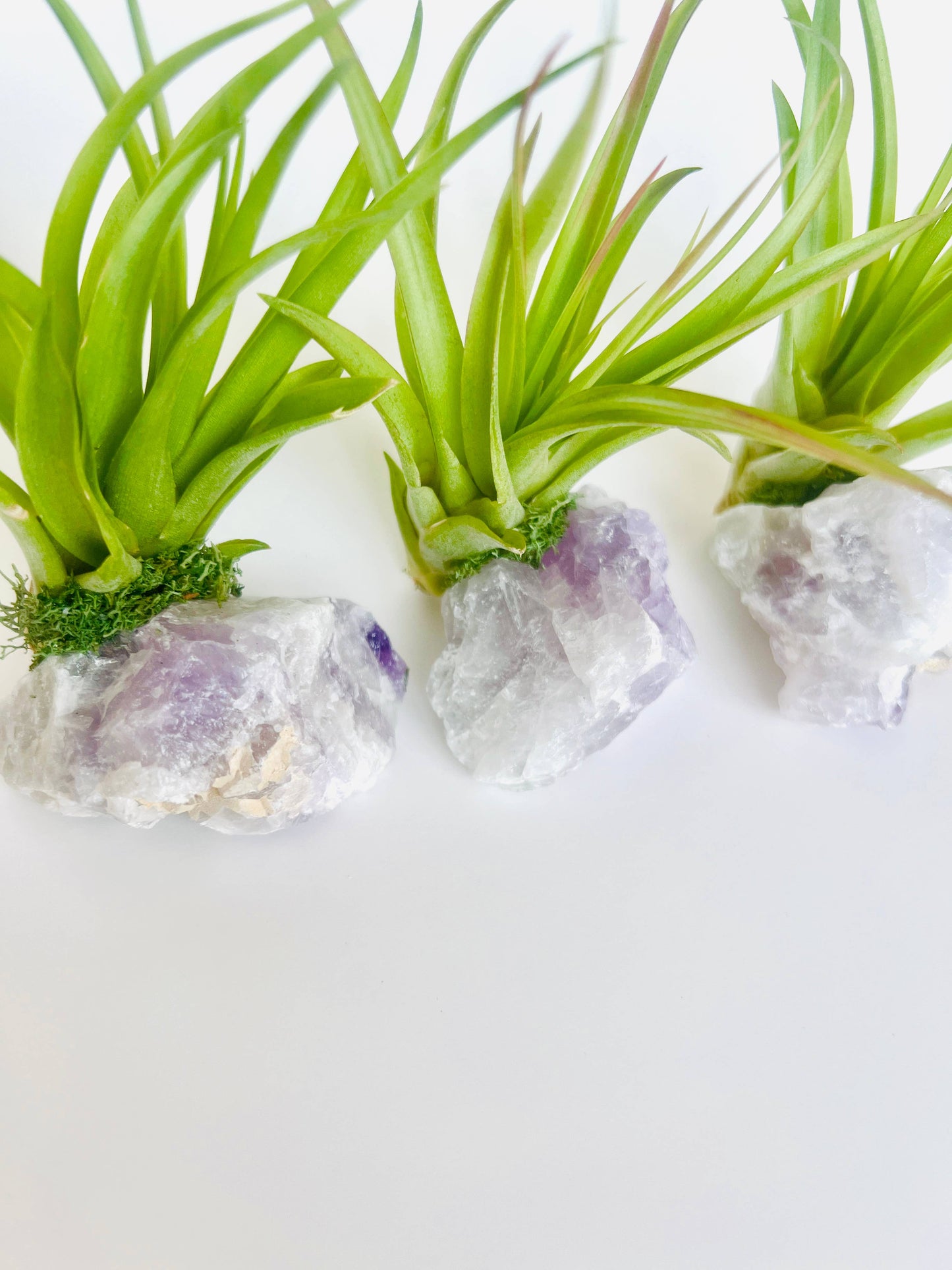 Crystal Air Plants l Air Plant Holder l Crystal Gift: Druzy Amethyst