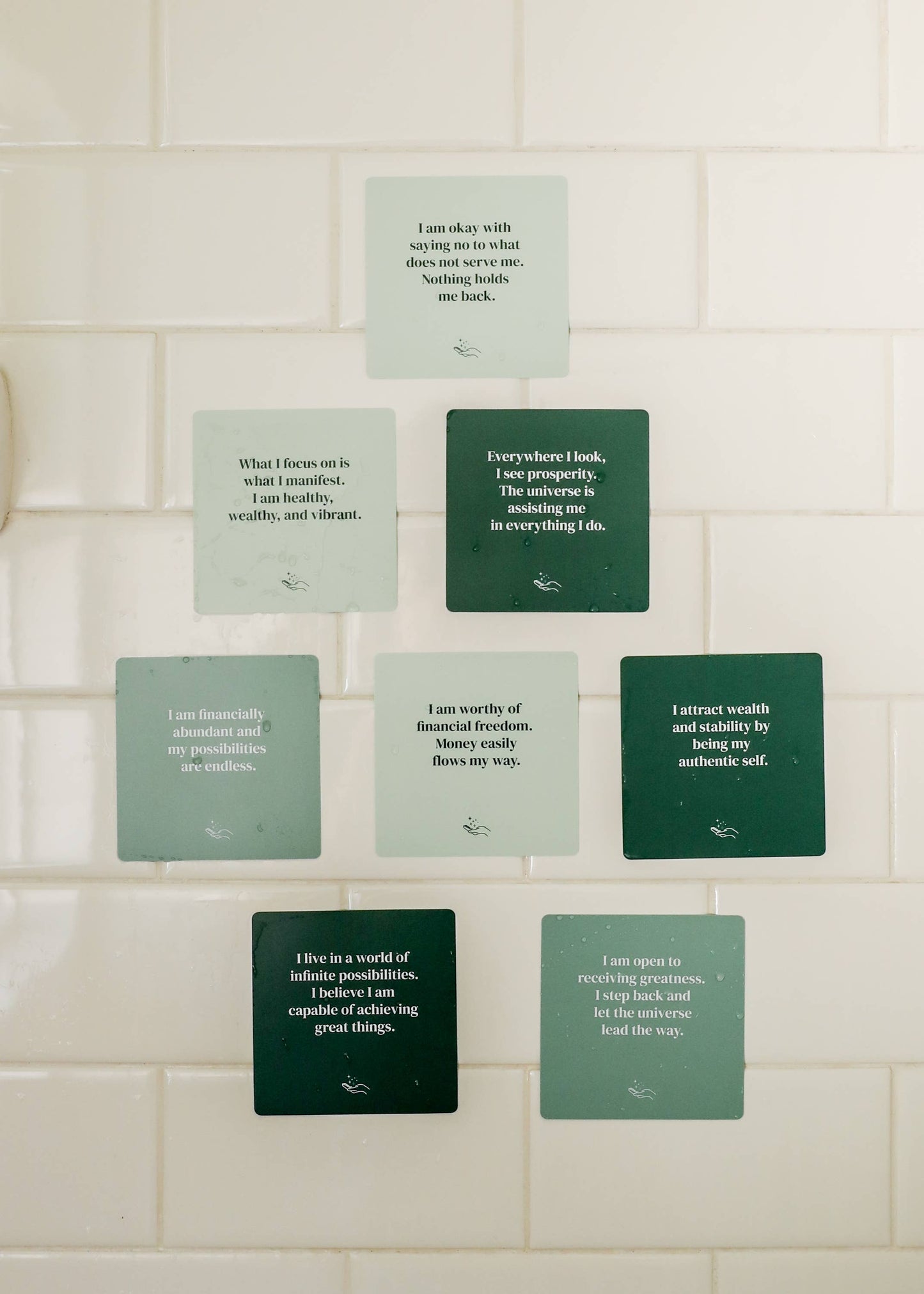 Shower Affirmation™  Cards - Abundance